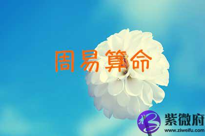 周易生辰测算