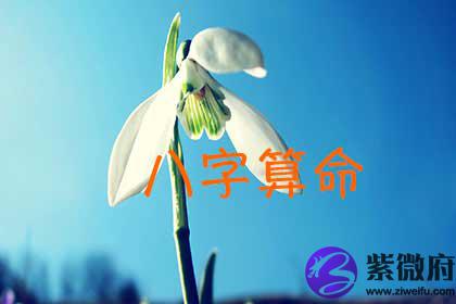 生辰生辰测算
