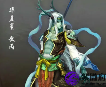 什么是华盖星