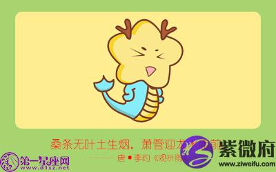 龙