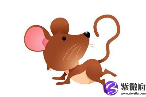 生肖牛正月出生的人命运如何