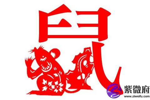 属鼠女生喜欢的男人有哪些特征
