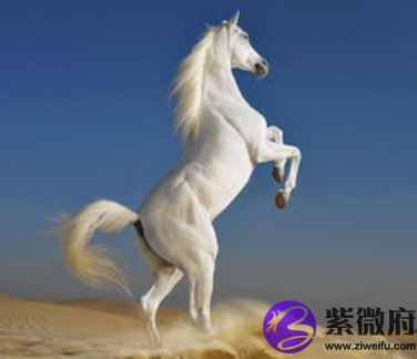 1966年属马的人2022年运程