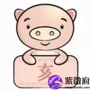 属猪人2022年流年运势