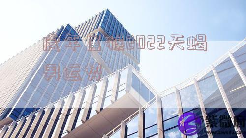 虎年属猴2022天蝎男运势