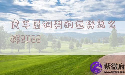 虎年属狗男的运势怎么样2022