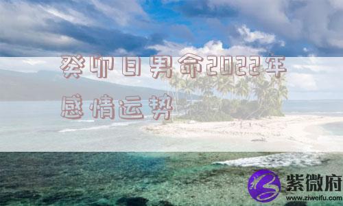 癸卯日男命2022年感情运势