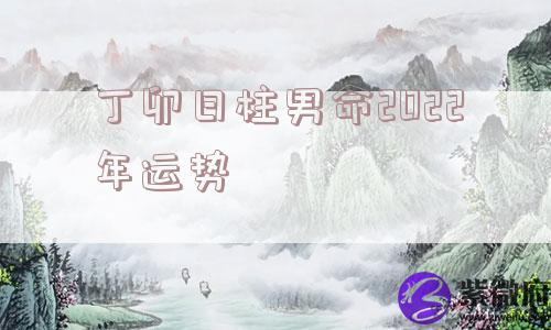 丁卯日柱男命2022年运势