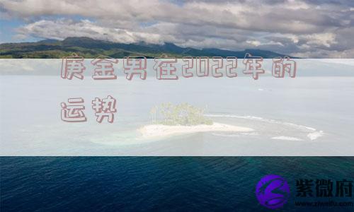庚金男在2022年的运势
