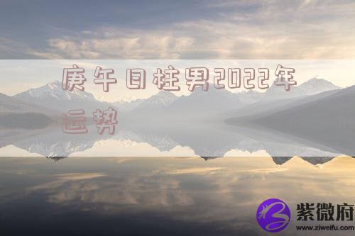庚午日柱男2022年运势
