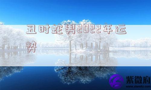 丑时蛇男2022年运势