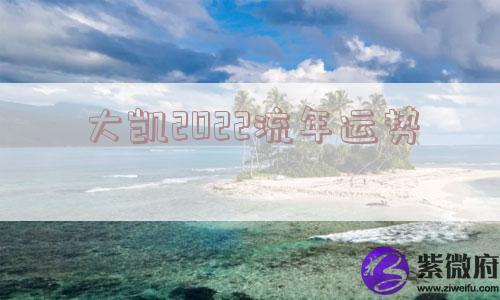 大凯2022流年运势