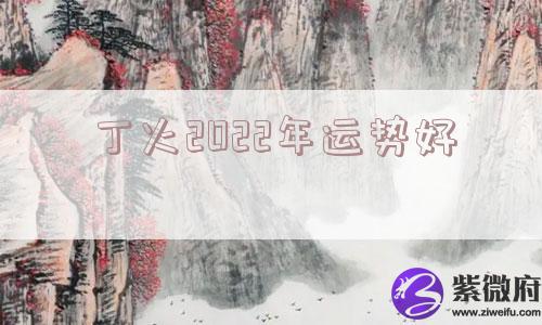 丁火2022年运势好