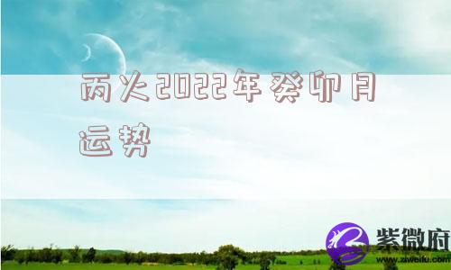 丙火2022年癸卯月运势