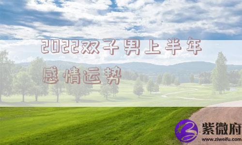 2022双子男上半年感情运势 2022双子男上半年感情运势