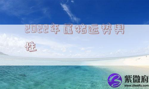 2022年属猪运势男性
