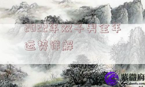 2022年双子男全年运势详解 2022年双子男全年运势详解