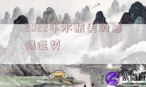 2022年水瓶男的感情运势
