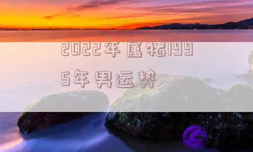 2022年属猪1995年男运势