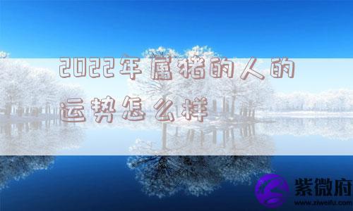 2022年属猪的人的运势怎么样
