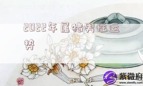2022年属猪男性运势
