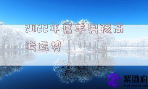2022年属羊男孩高考运势