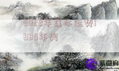 2022年属牛运势1985年男