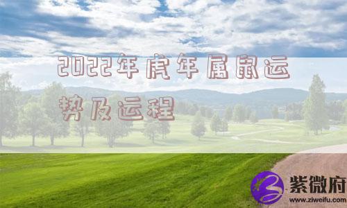 2022年虎年属鼠运势及运程 2022年虎年属鼠运势及运程