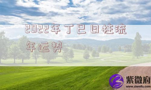 2022年丁巳日柱流年运势 2022年丁巳日柱流年运势