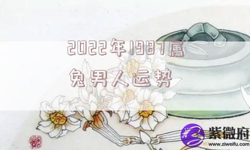 2022年1987属兔男人运势 2022年1987属兔男人运势