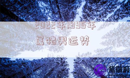 2022年1995年属猪男运势