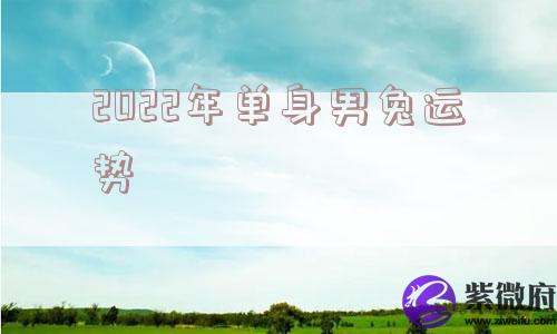 2022年单身男兔运势 2022年单身男兔运势