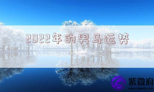 2022年的男马运势 2022年的男马运势