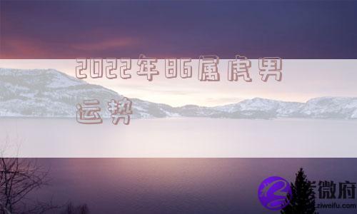 2022年86属虎男运势