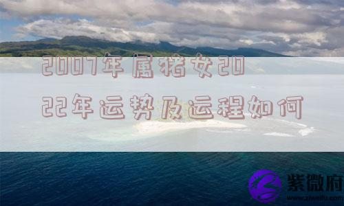 2007年属猪女2022年运势及运程如何