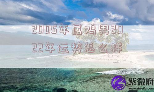 2005年属鸡男2022年运势怎么样