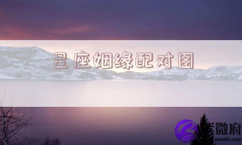 星座姻缘配对图