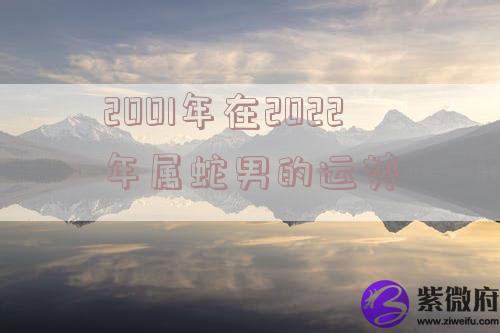 2001年在2022年属蛇男的运势