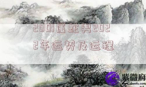 2001属蛇男2022年运势及运程