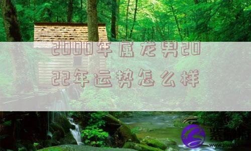 2000年属龙男2022年运势怎么样
