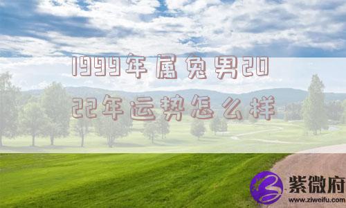 1999年属兔男2022年运势怎么样
