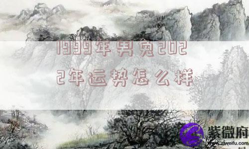 1999年男兔2022年运势怎么样