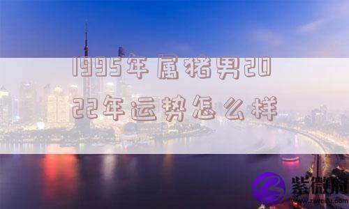 1995年属猪男2022年运势怎么样