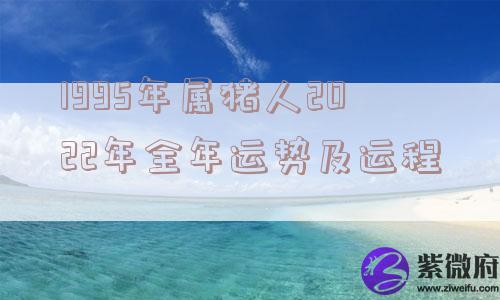1995年属猪人2022年全年运势及运程