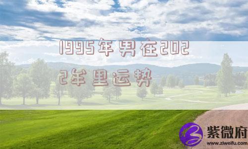 1995年男在2022牟里运势