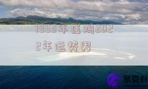 1993年属鸡2022年运势男