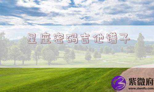 星座密码吉他谱子