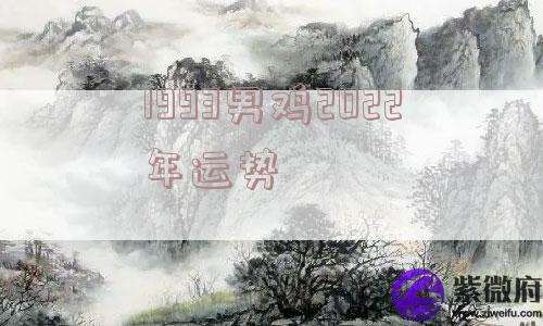 1993男鸡2022年运势