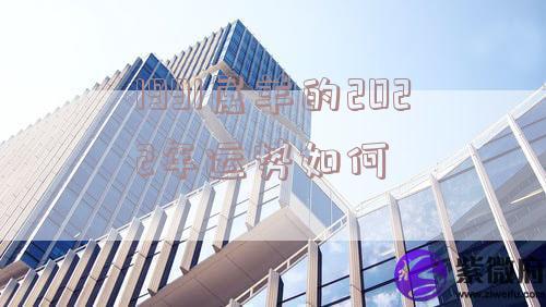 1991属羊的2022年运势如何