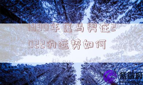 1990年属马男在2022的运势如何